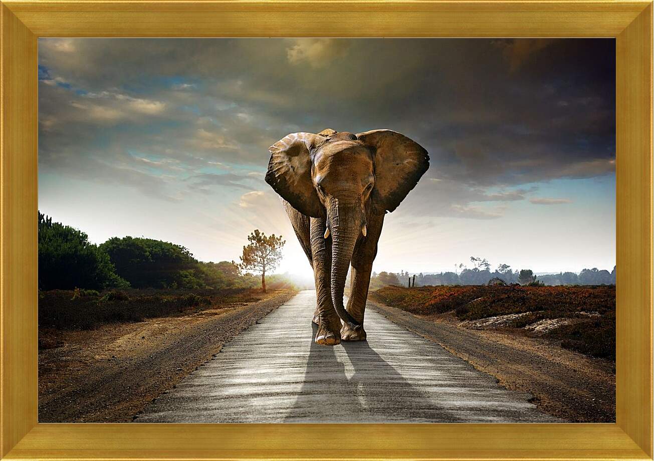 Картина в раме - Слон