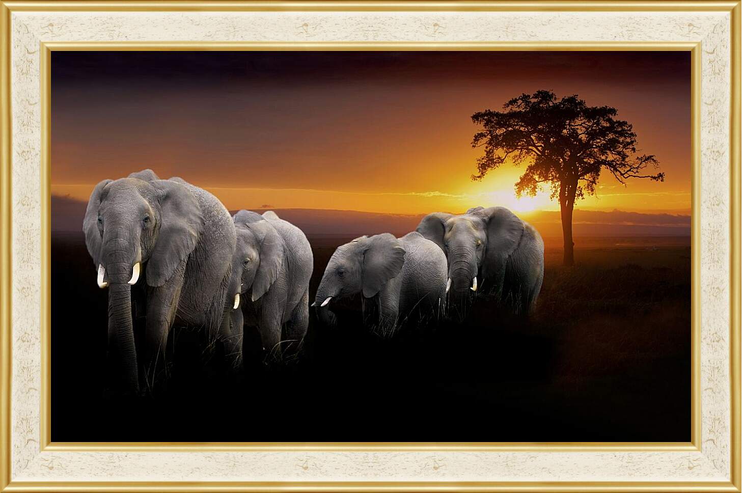Картина в раме - Слоны
