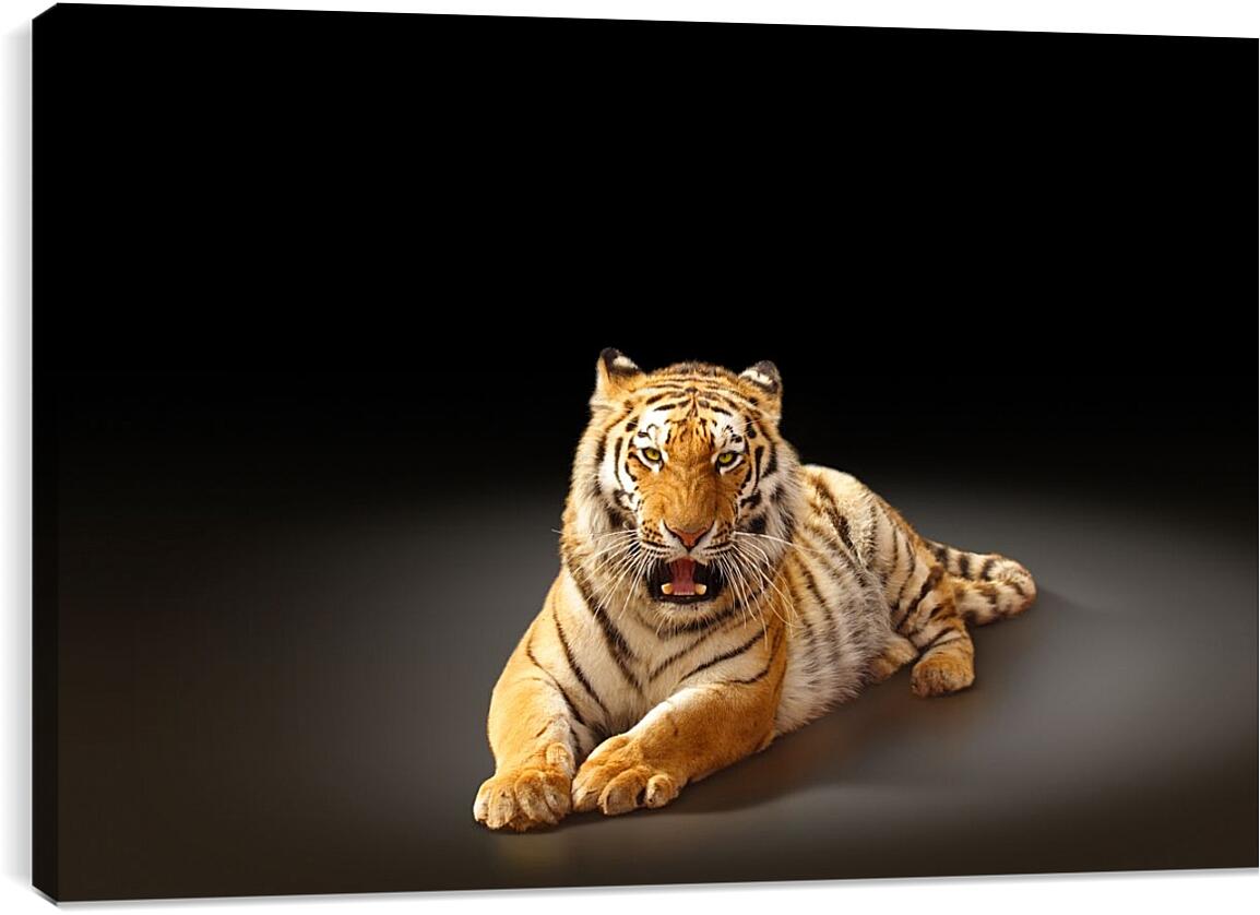 Постер и плакат - Бенгальский тигр. Коричневый тигр