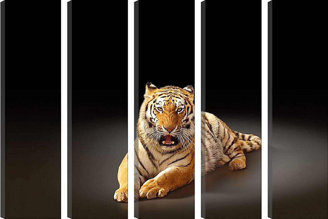 Модульная картина - Бенгальский тигр. Коричневый тигр