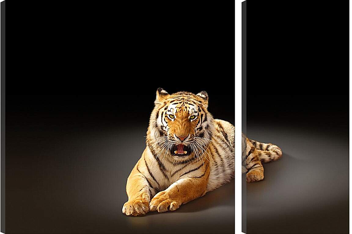 Модульная картина - Бенгальский тигр. Коричневый тигр