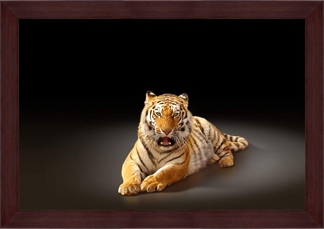 Картина в раме - Бенгальский тигр. Коричневый тигр