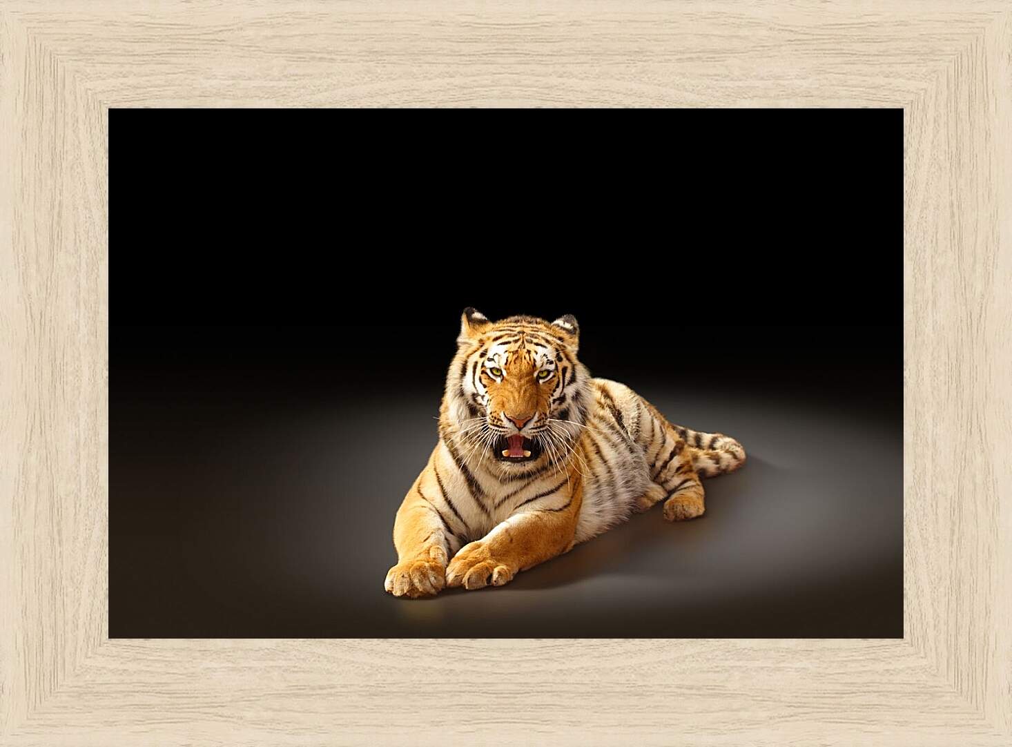 Картина в раме - Бенгальский тигр. Коричневый тигр