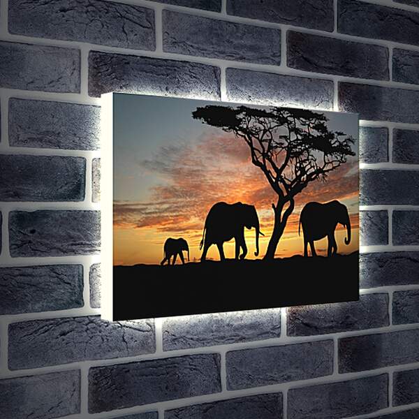 Лайтбокс световая панель - Слоны