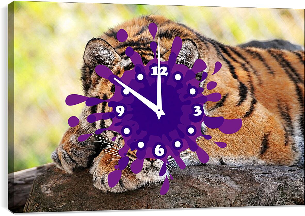 Часы картина - Бенгальский тигр отдыхает