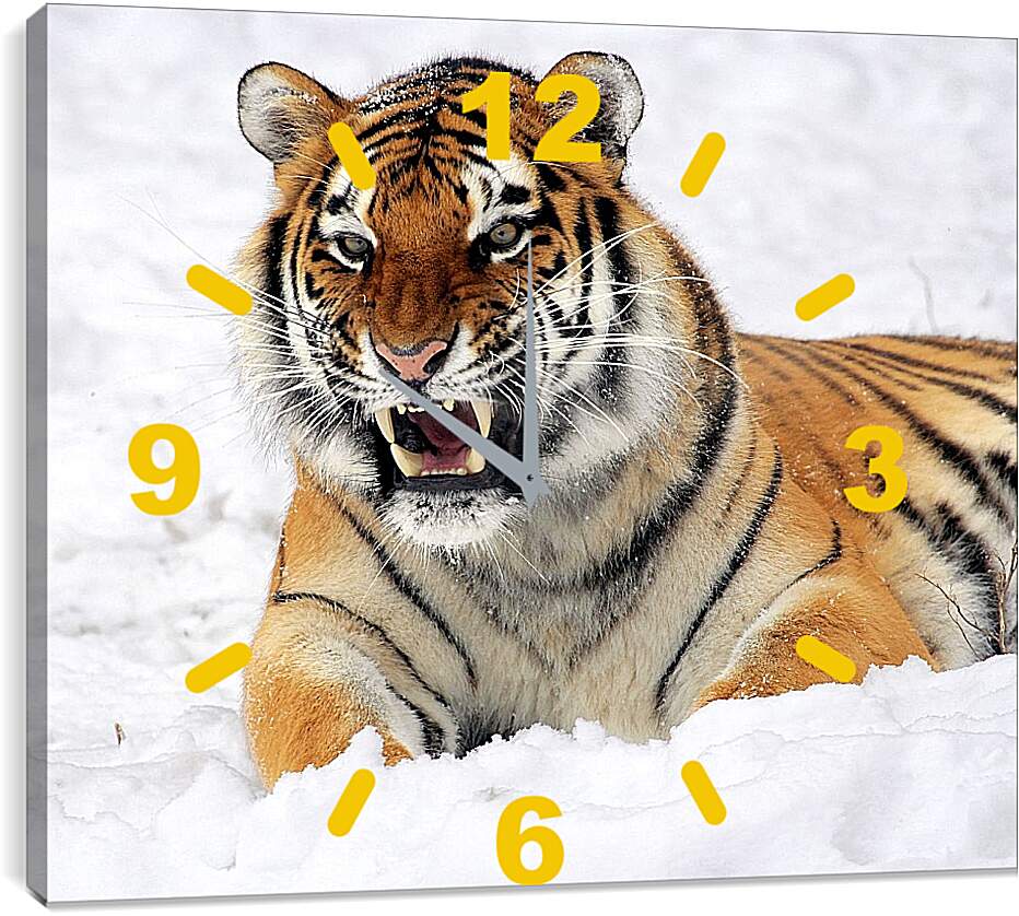 Часы картина - Бенгальский тигр в снегу