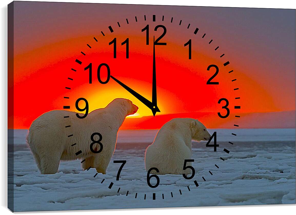 Часы картина - Белые медведи