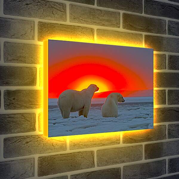 Лайтбокс световая панель - Белые медведи