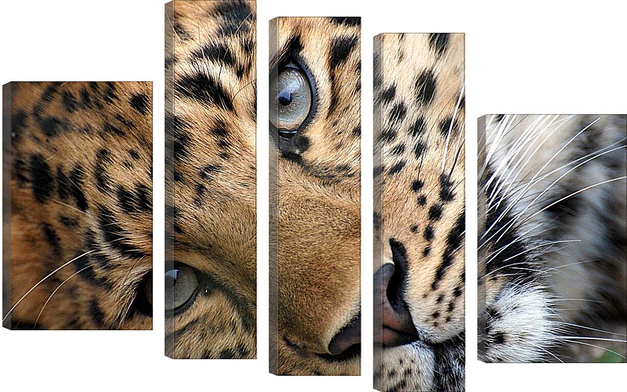 Модульная картина - Леопард
