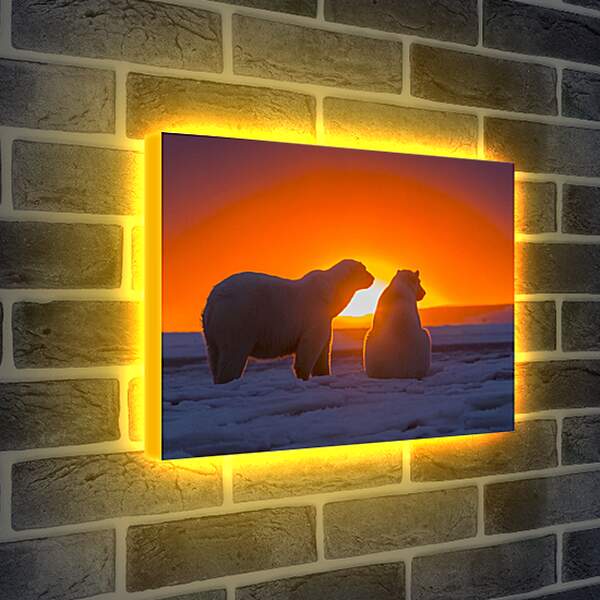 Лайтбокс световая панель - Белые медведи
