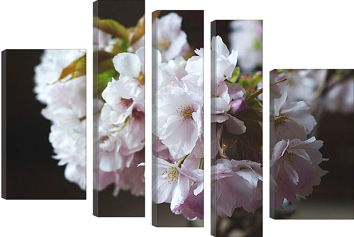 Модульная картина - Цветы сакуры