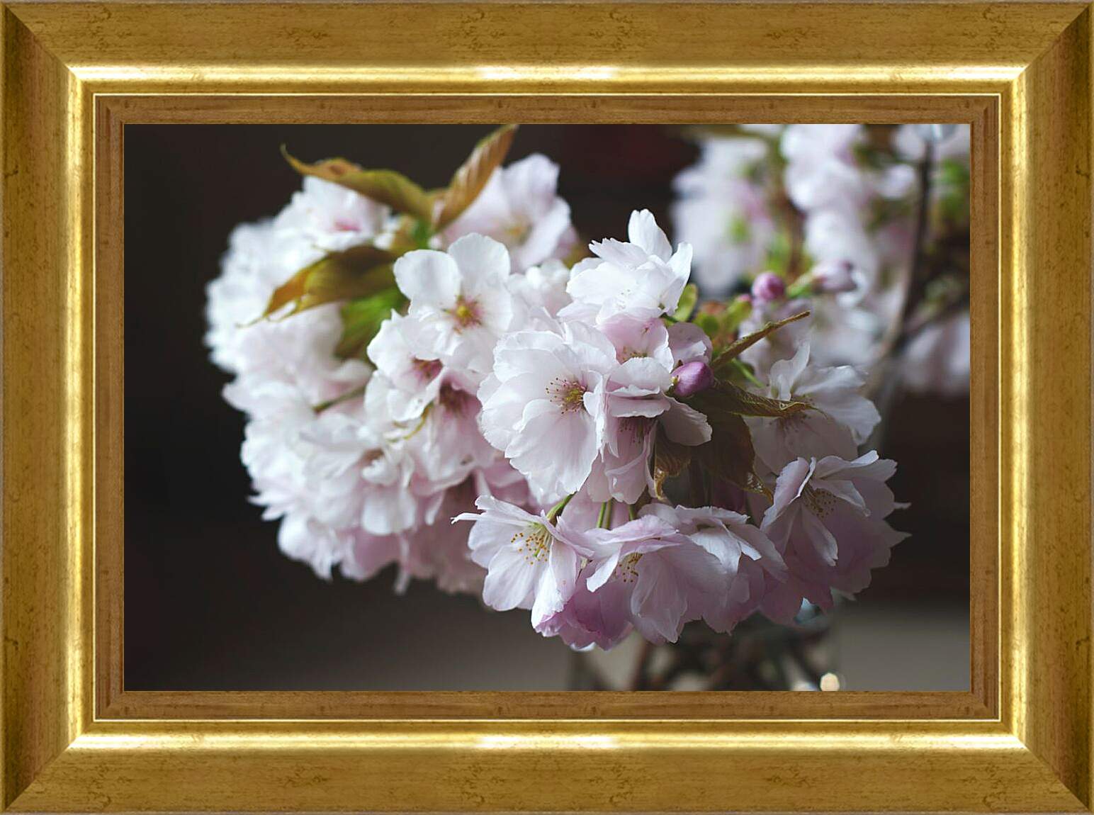 Картина в раме - Цветы сакуры