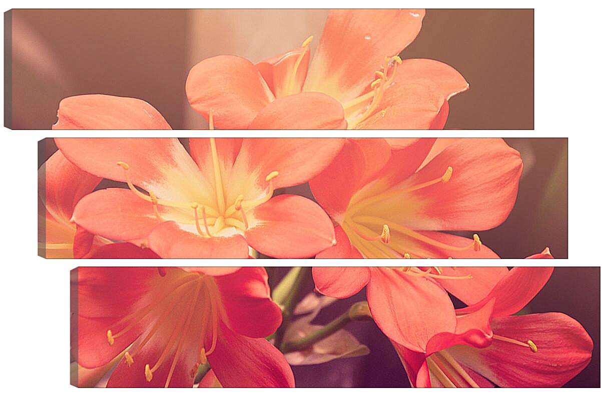 Модульная картина - персиковые цветы