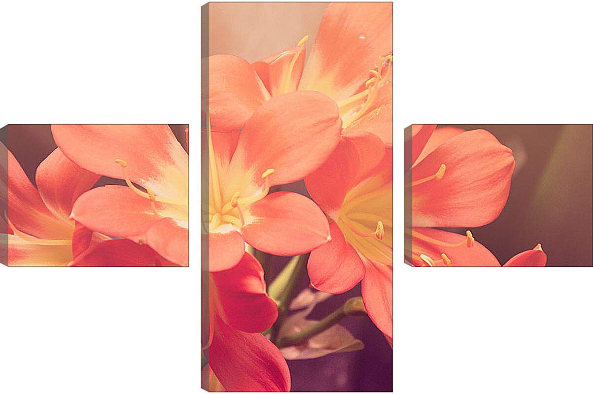 Модульная картина - персиковые цветы