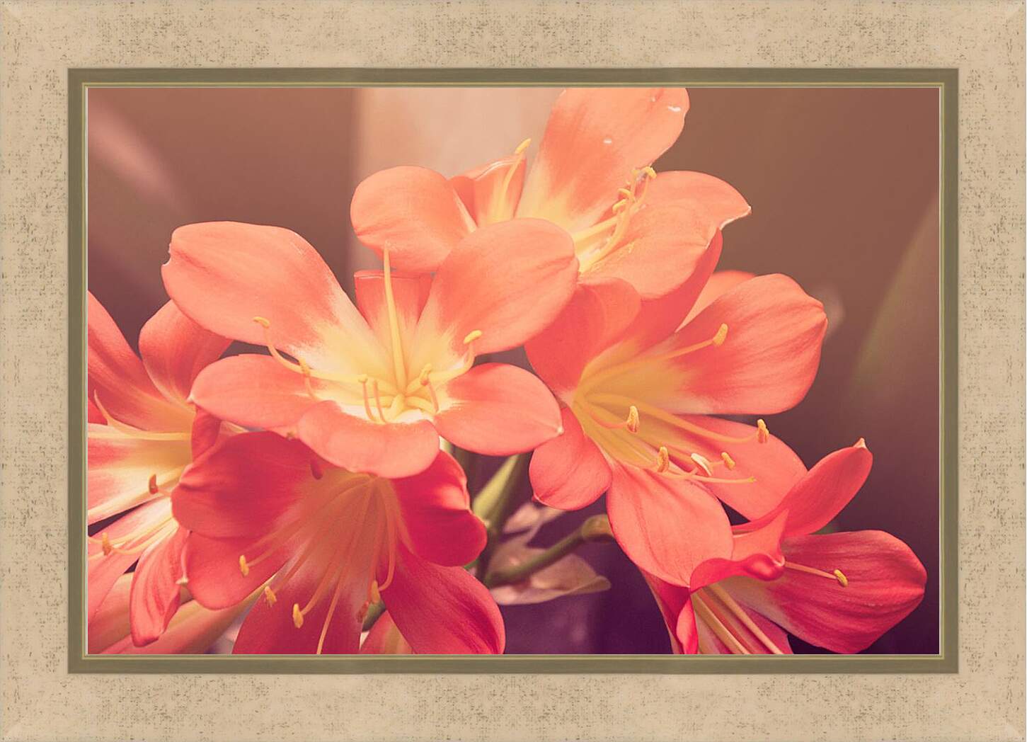 Картина в раме - персиковые цветы