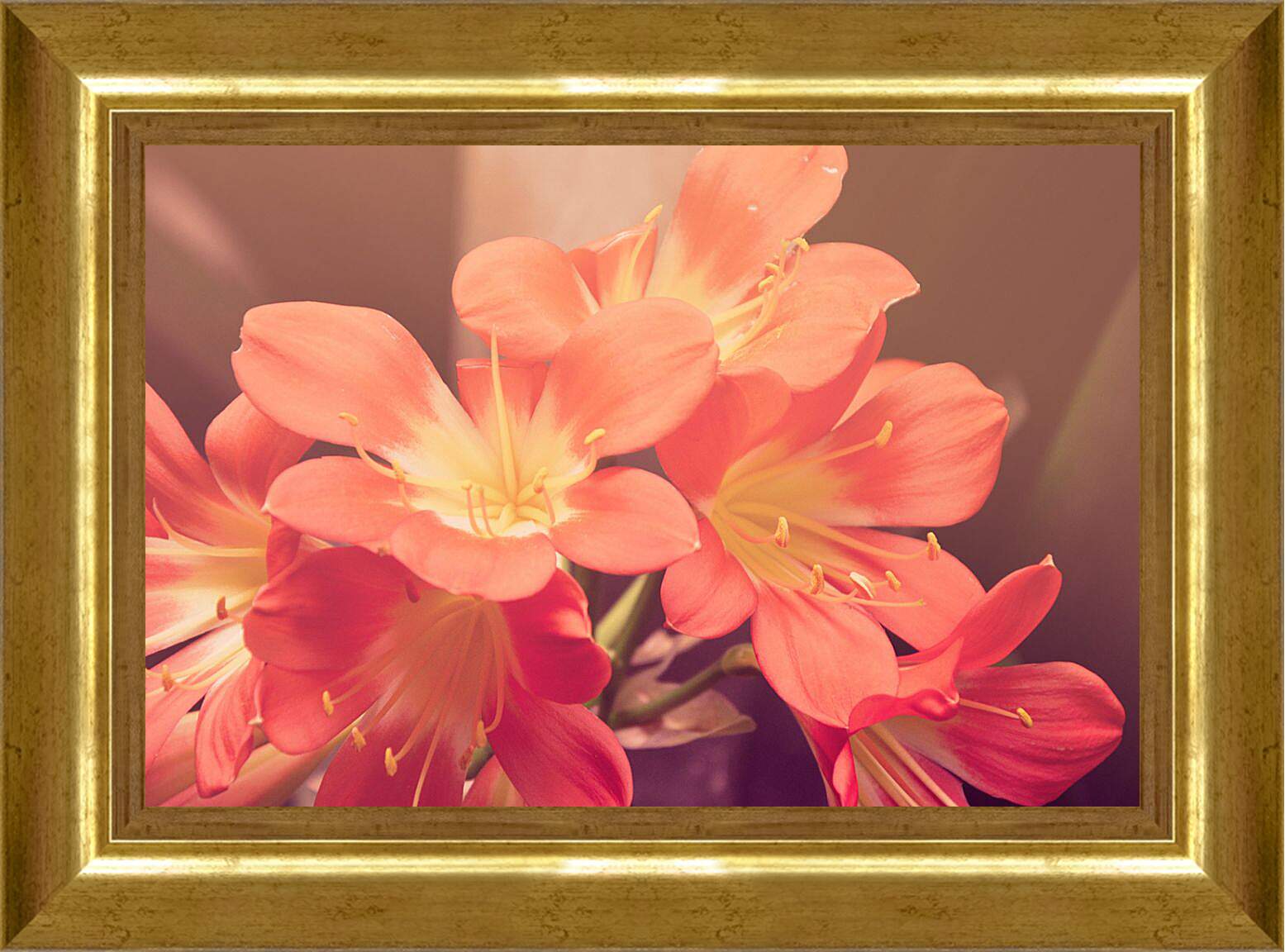 Картина в раме - персиковые цветы