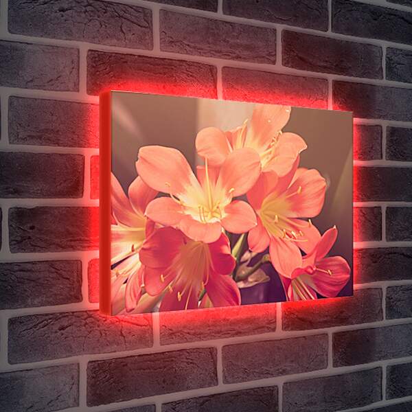 Лайтбокс световая панель - персиковые цветы