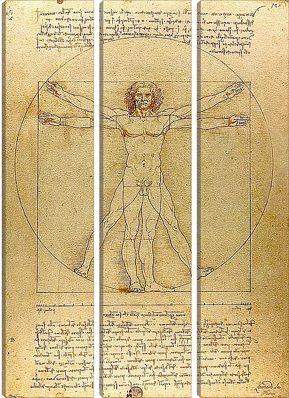 Модульная картина - Витрувианский человек. Леонардо Да Винчи