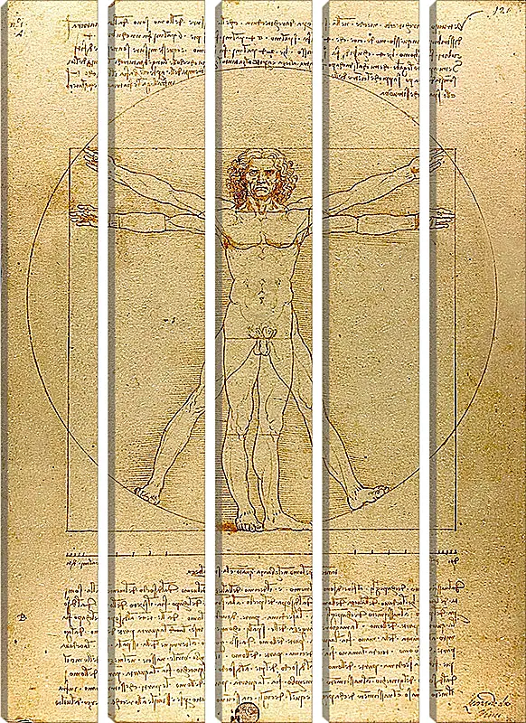 Модульная картина - Витрувианский человек. Леонардо Да Винчи