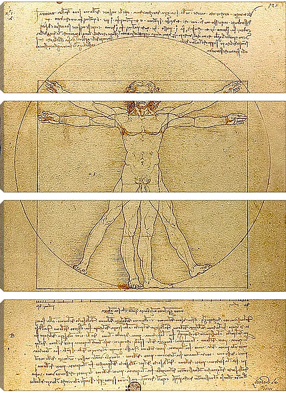 Модульная картина - Витрувианский человек. Леонардо Да Винчи