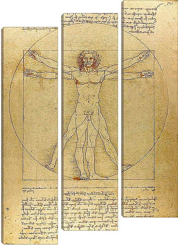 Модульная картина - Витрувианский человек. Леонардо Да Винчи