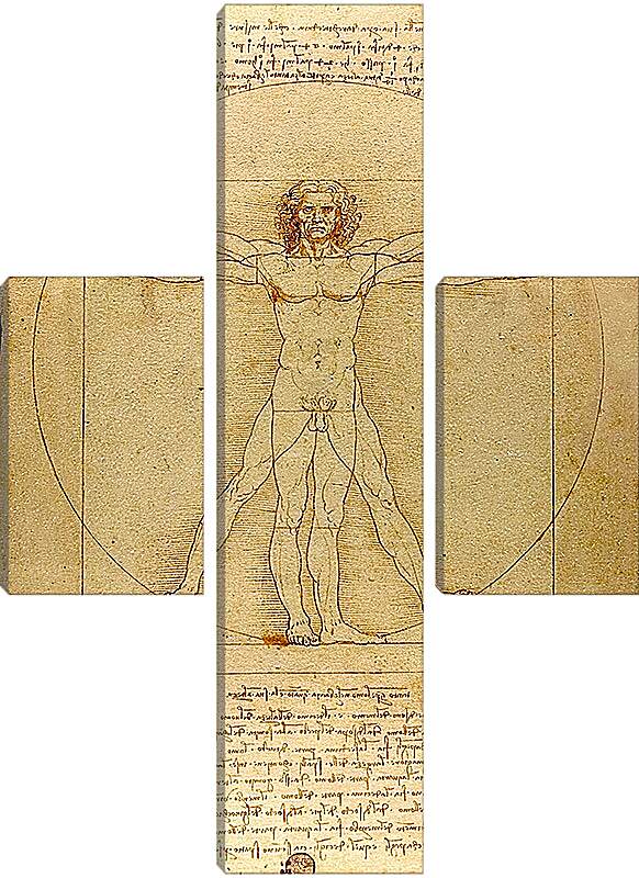 Модульная картина - Витрувианский человек. Леонардо Да Винчи