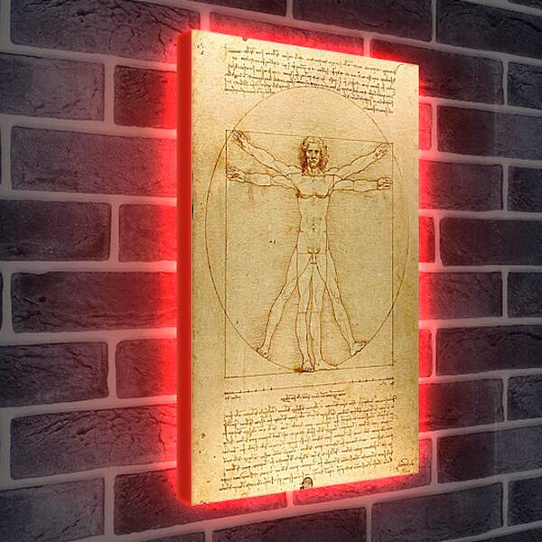 Лайтбокс световая панель - Витрувианский человек. Леонардо Да Винчи
