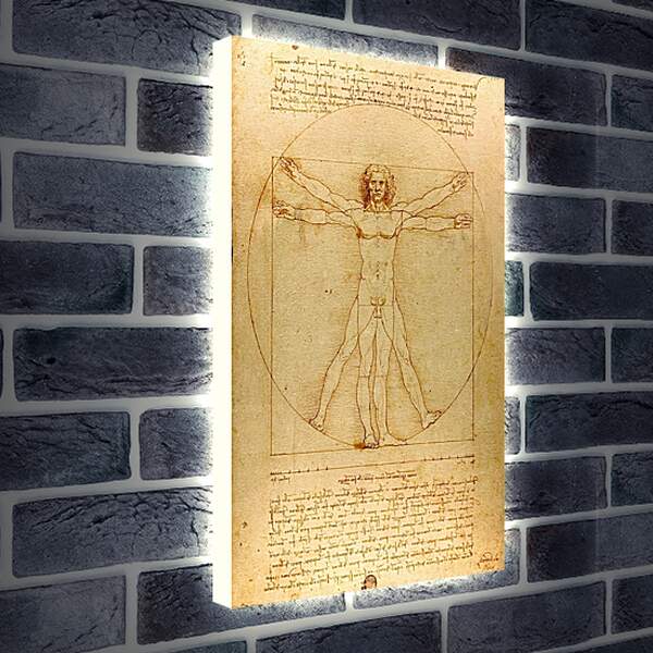 Лайтбокс световая панель - Витрувианский человек. Леонардо Да Винчи