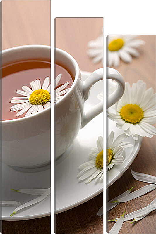 Модульная картина - Ромашковый чай