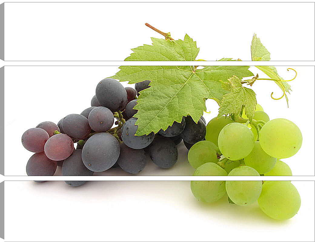 Модульная картина - Гроздья винограда