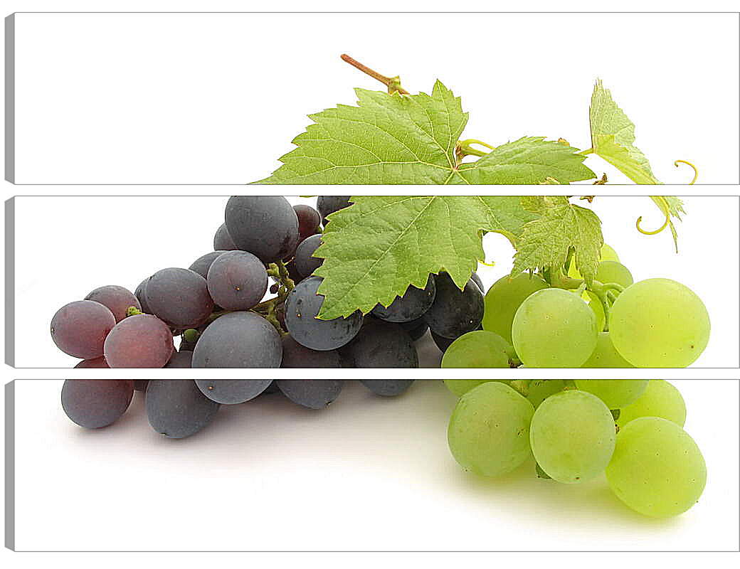 Модульная картина - Гроздья винограда