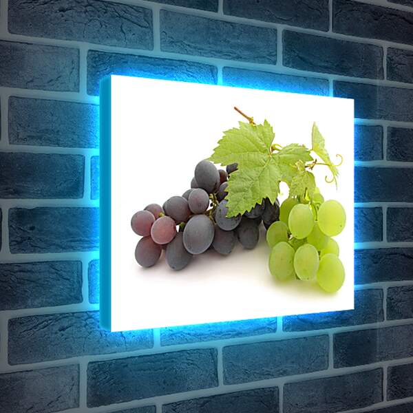 Лайтбокс световая панель - Гроздья винограда