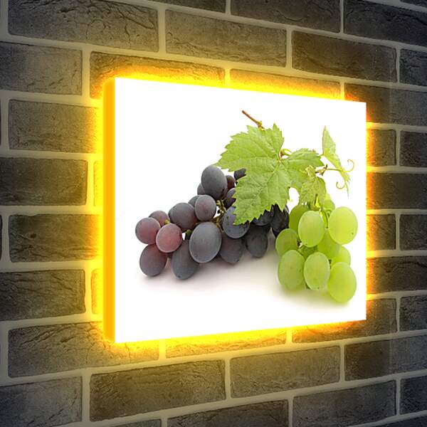 Лайтбокс световая панель - Гроздья винограда