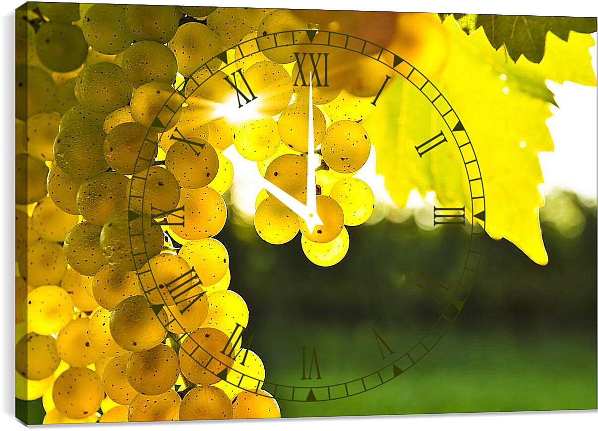 Часы картина - Виноград в лучах солнца
