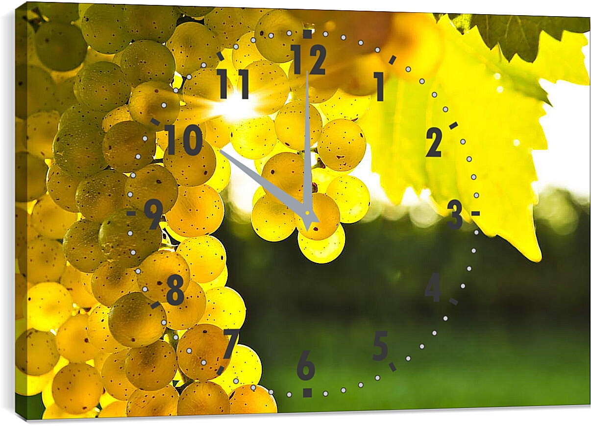 Часы картина - Виноград в лучах солнца