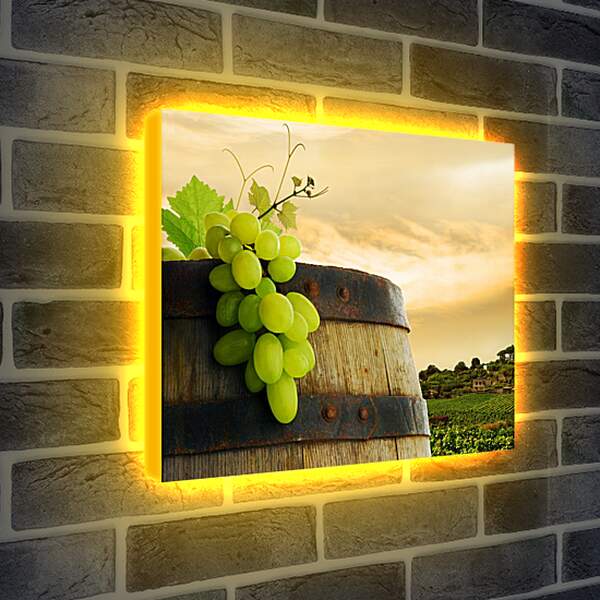 Лайтбокс световая панель - Бочка с виноградом