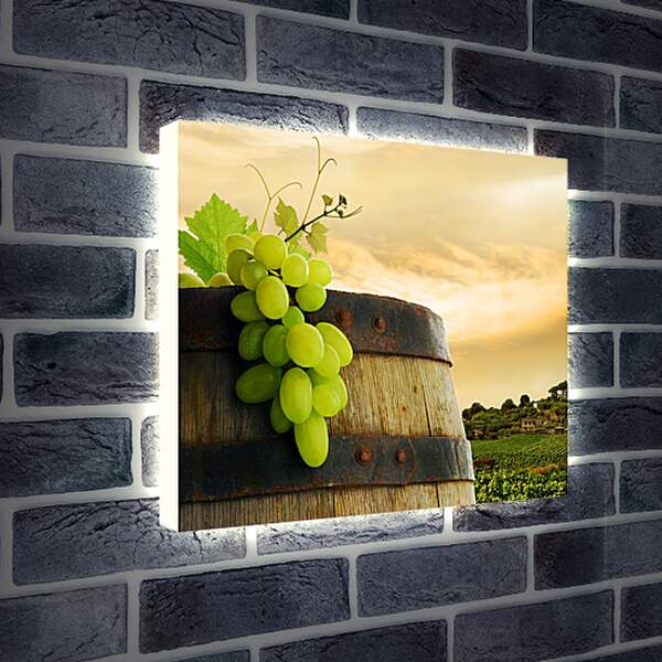 Лайтбокс световая панель - Бочка с виноградом