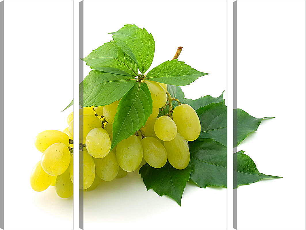 Модульная картина - Желтый виноград и листья
