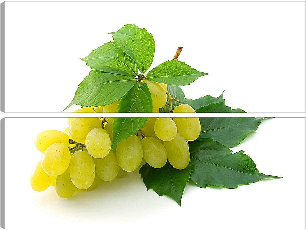 Модульная картина - Желтый виноград и листья