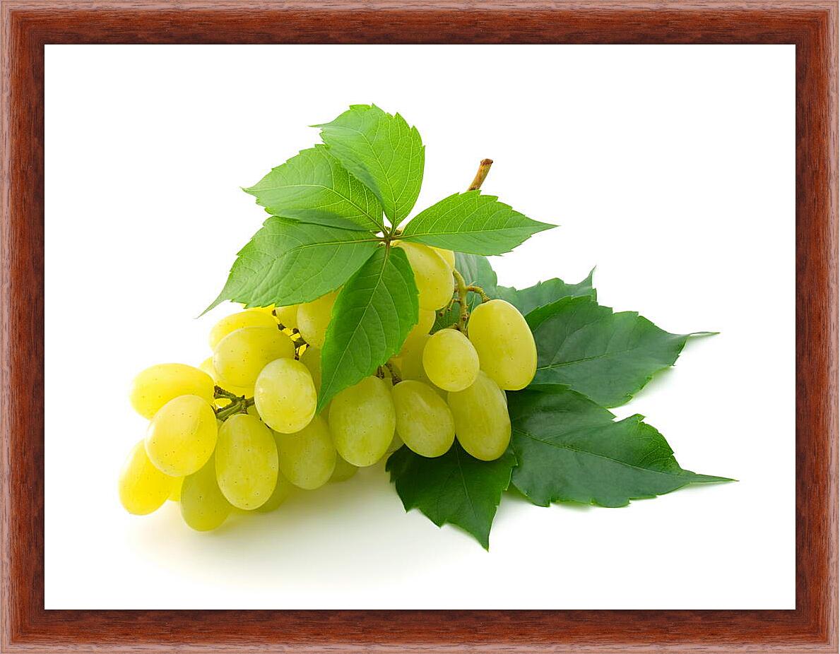 Картина в раме - Желтый виноград и листья