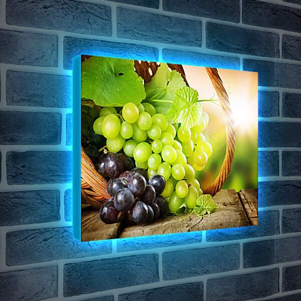 Лайтбокс световая панель - Виноград в корзине и луч солнца