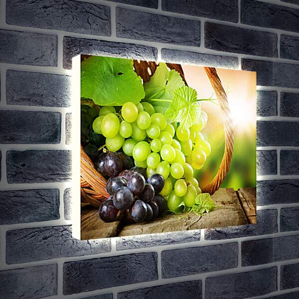Лайтбокс световая панель - Виноград в корзине и луч солнца