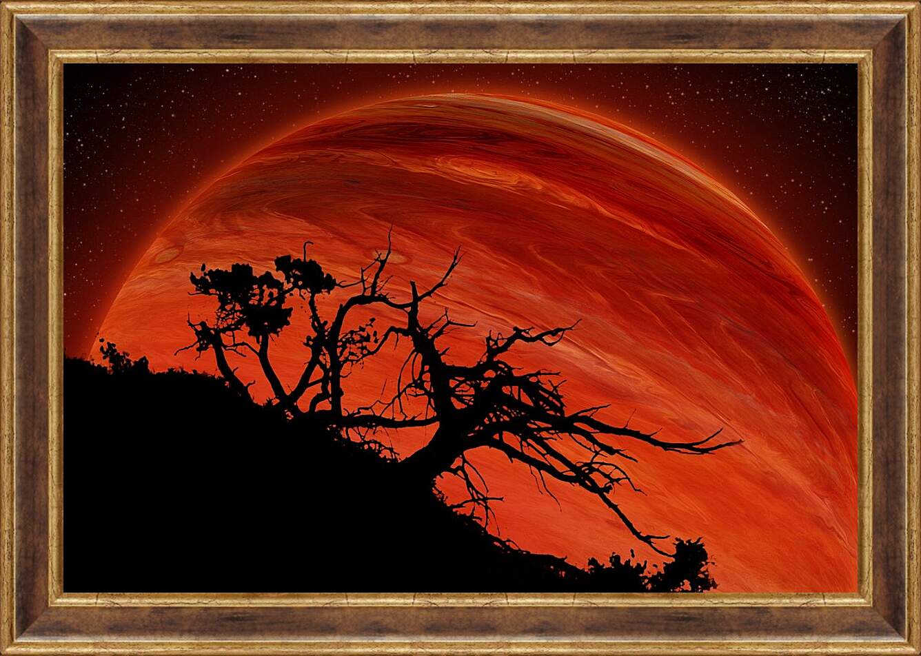 Картина в раме - Красная планета
