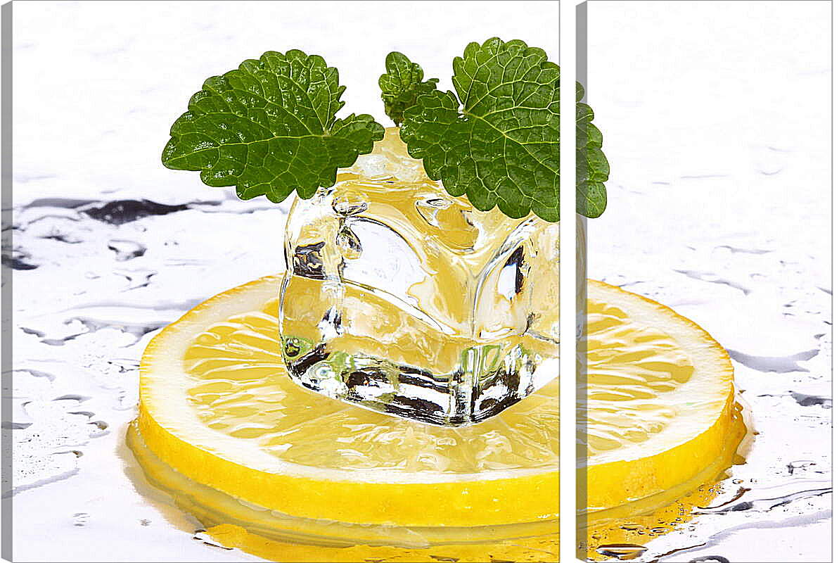 Модульная картина - Лед на лимоне