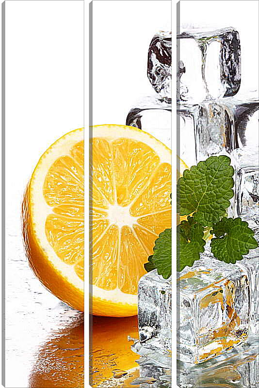 Модульная картина - Лед и апельсин