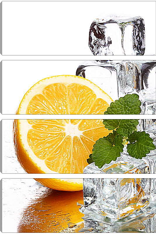 Модульная картина - Лед и апельсин