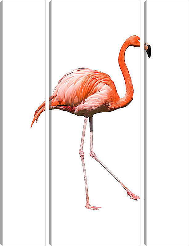 Модульная картина - Фламинго
