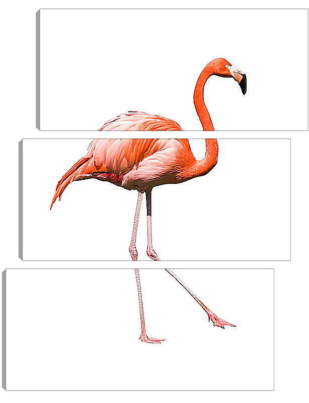 Модульная картина - Фламинго
