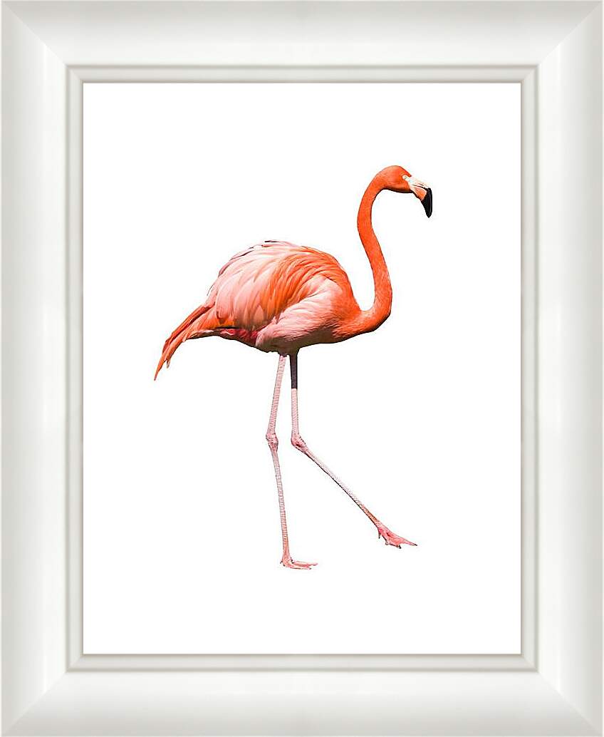 Картина в раме - Фламинго
