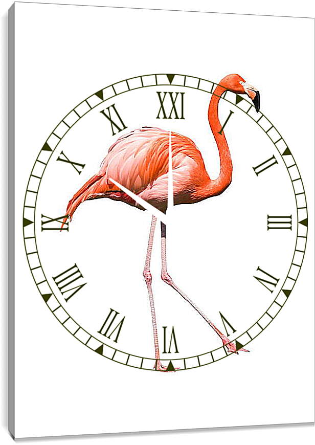 Часы картина - Фламинго
